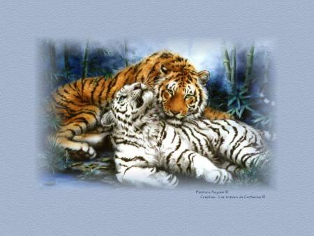 tigre