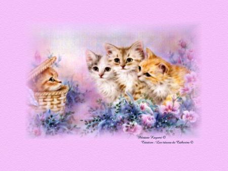 chat