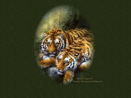tigre