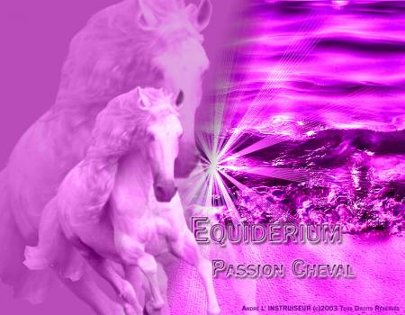 chevaux