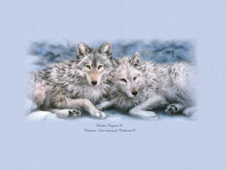 loup 