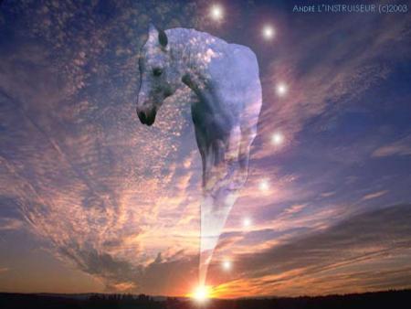 chevaux