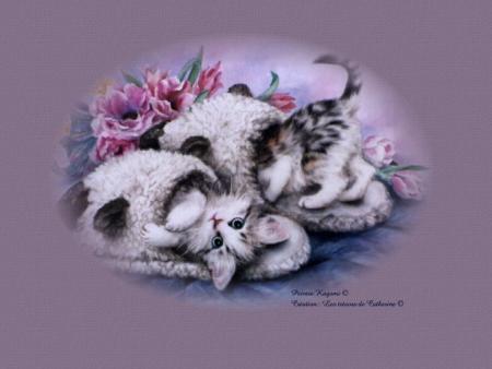 ki son mignon 