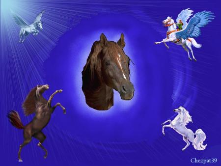 chevaux