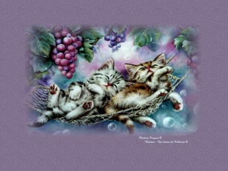chat
